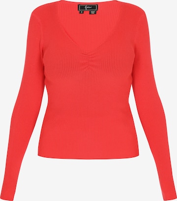 raudona faina Megztinis 'Comfortable': priekis