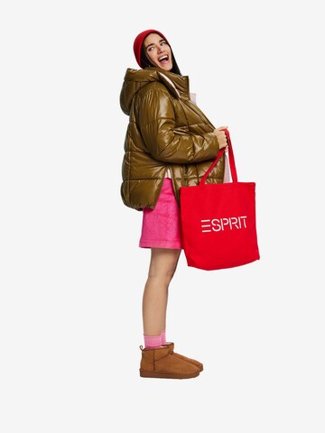 ESPRIT Winterjacke in Grün