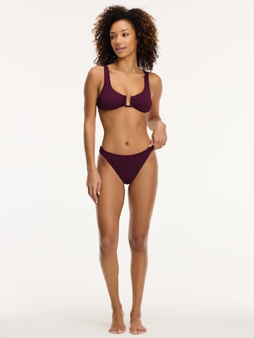 Shiwi Triangle Bikini 'CHLOE SCOOP' in Purple