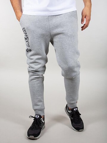 ALPHA INDUSTRIES Regular Pants 'Basic AI' in Grey