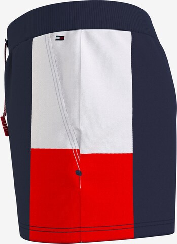 TOMMY HILFIGER Štandardný strih Nohavice - Modrá