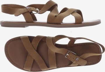 TOMS Sandals & High-Heeled Sandals in 40 in Brown: front