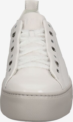 Sneaker bassa di Paul Green in bianco