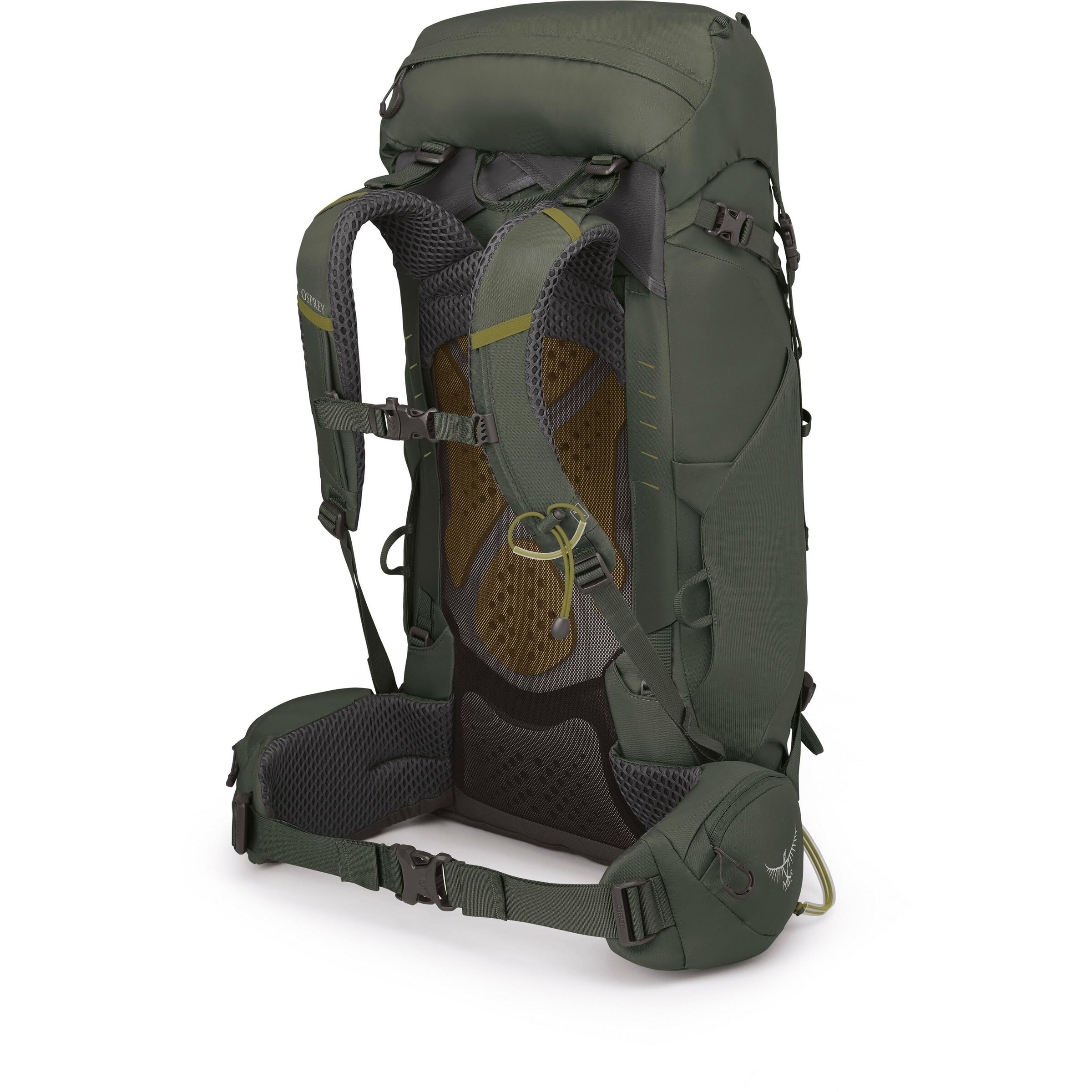 Osprey Sports Backpack 'Kestrel 38' in Green