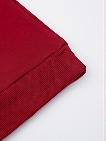 Sailing Sweatshirt 'Cherry' in Red
