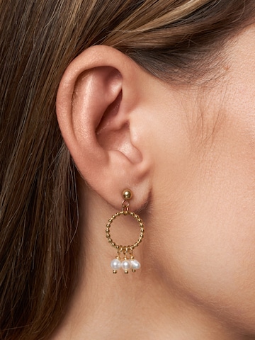 A&C Oslo – Nordic Design Jewellery Earrings 'Steel Miniature' in Gold: front