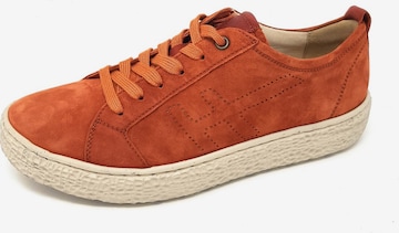 Hartjes Sneakers in Orange: front