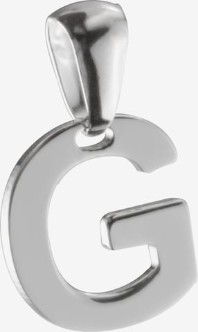 FAVS Anhänger in Silber: Vorderseite