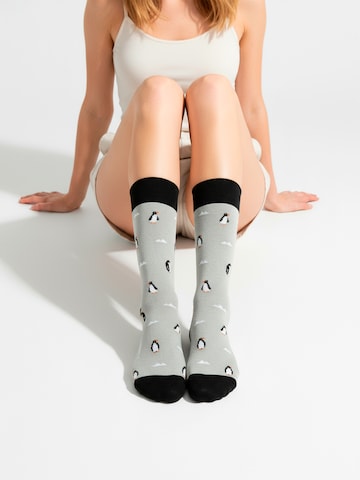 Chaussettes 'AUSTRAL EDITION' The Arctic Bay en mélange de couleurs