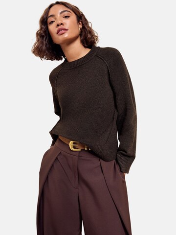 Friends Like These Pullover i brun: forside