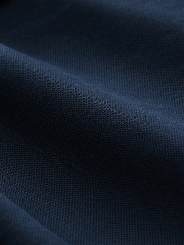 TOM TAILOR Regular Chino in Blauw