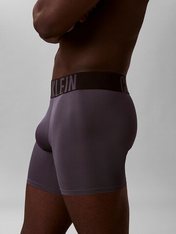 Regular Boxers 'Intense Powe' Calvin Klein Underwear en mélange de couleurs