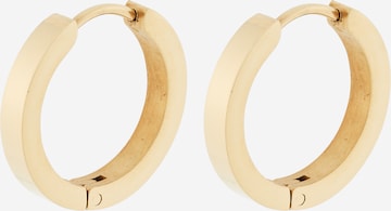 Liu JoNaušnice - zlatna boja: prednji dio