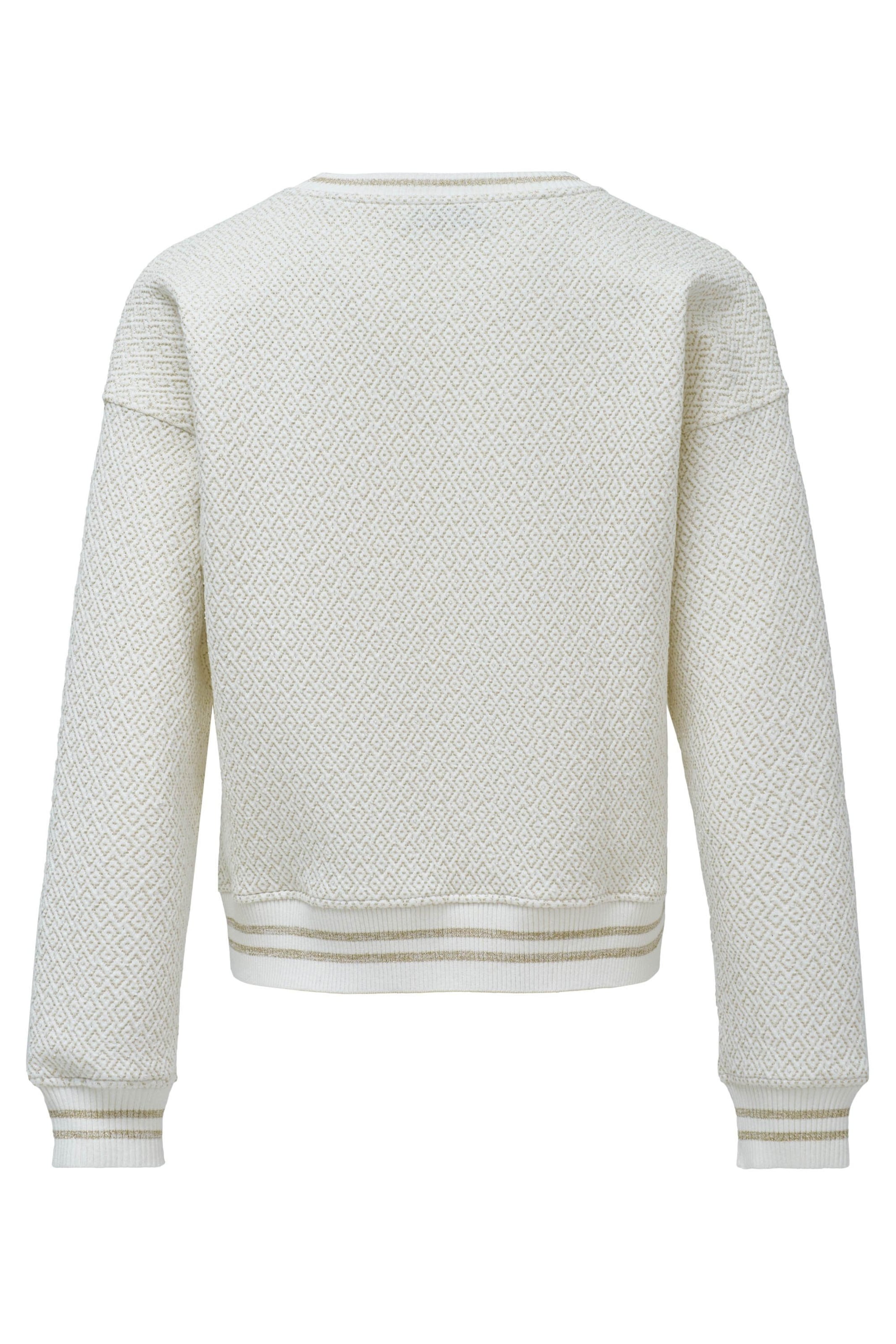 Salsa Jeans Sweatshirt in Beige