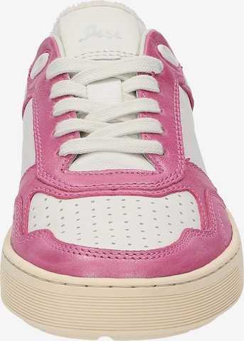 SIOUX Sneakers 'Tedroso-DA-700' in Pink