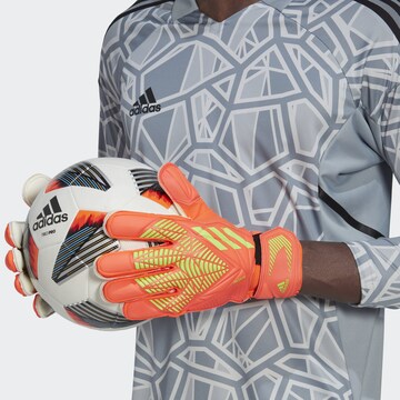 ADIDAS SPORTSWEAR Spordikindad 'Predator Edge Match Goalkeeper', värv oranž