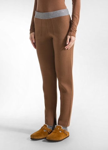 DEHA Regular Trousers in Brown: front