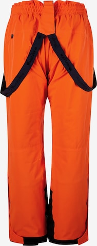 Whistler Regular Workout Pants 'GIPPSLANG' in Mixed colors