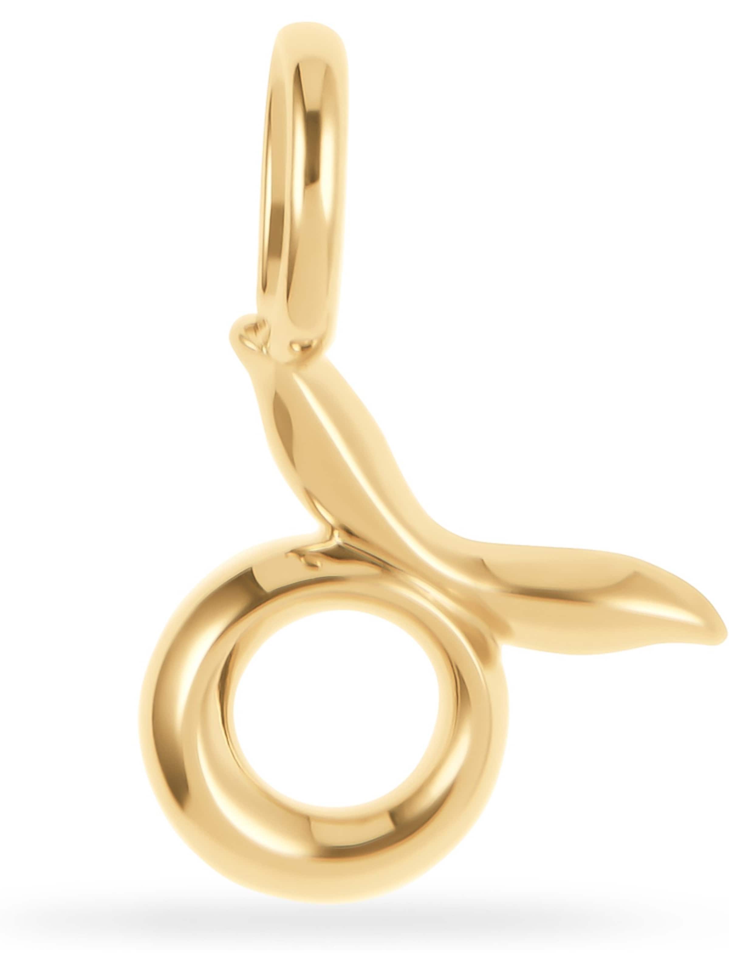 FAVS Anhänger in Gold: Vorderseite