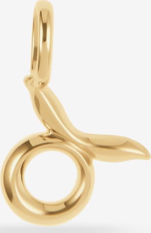 FAVS Anhänger in Gold: Vorderseite