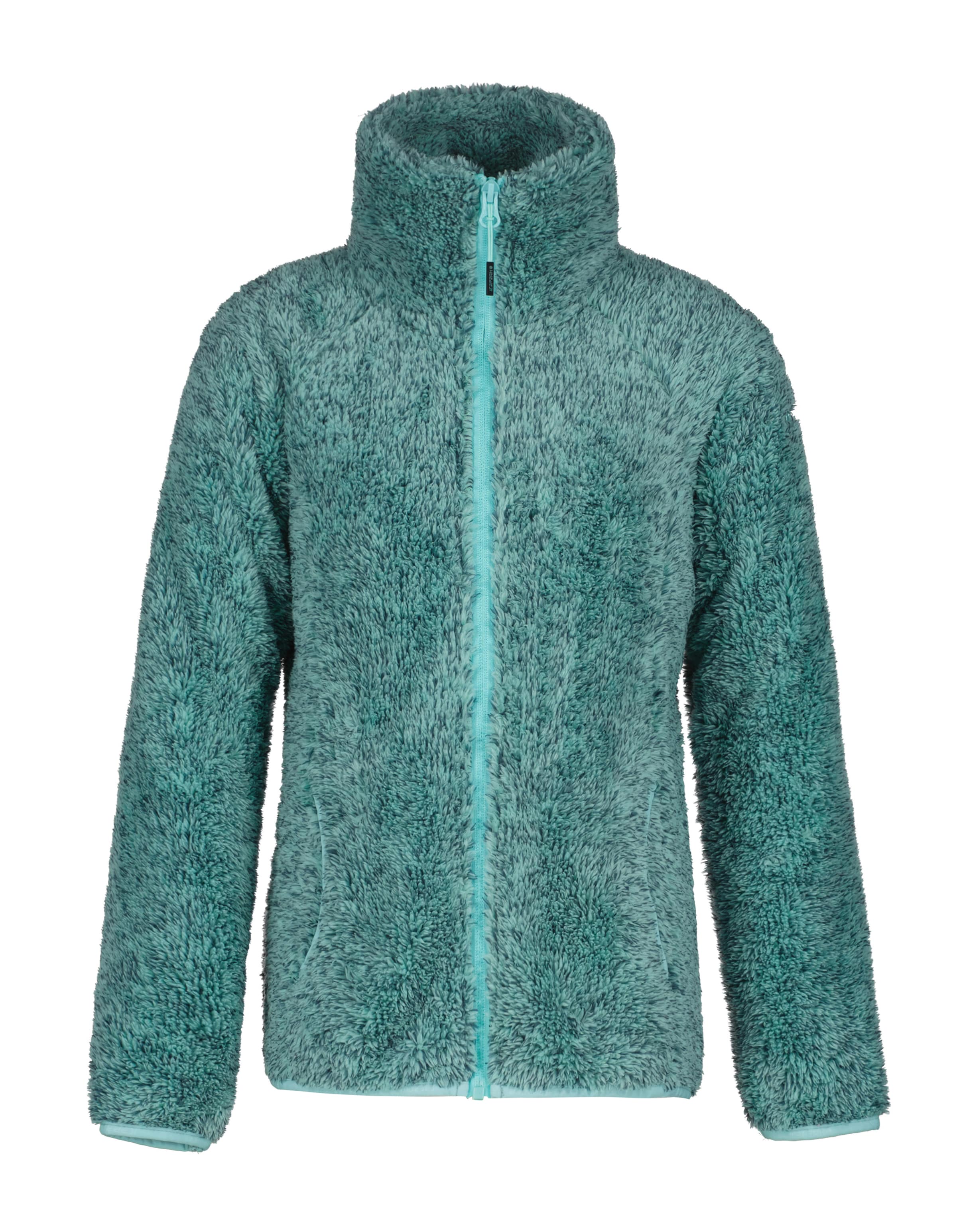 ICEPEAK Athletic Fleece Jacket in Green: front