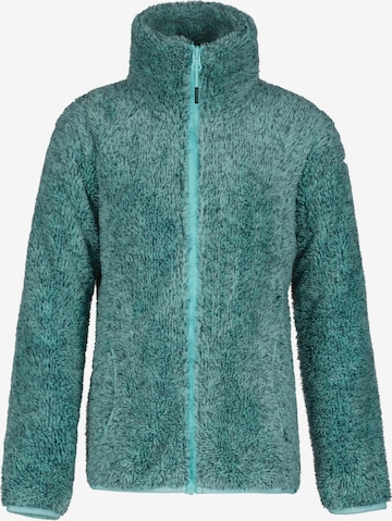 ICEPEAK Athletic Fleece Jacket in Green: front