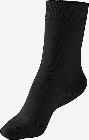 Chaussettes H.I.S en gris