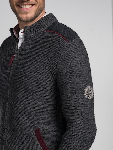 SPIETH & WENSKY Knit Cardigan 'FCB - Torben' in Grey