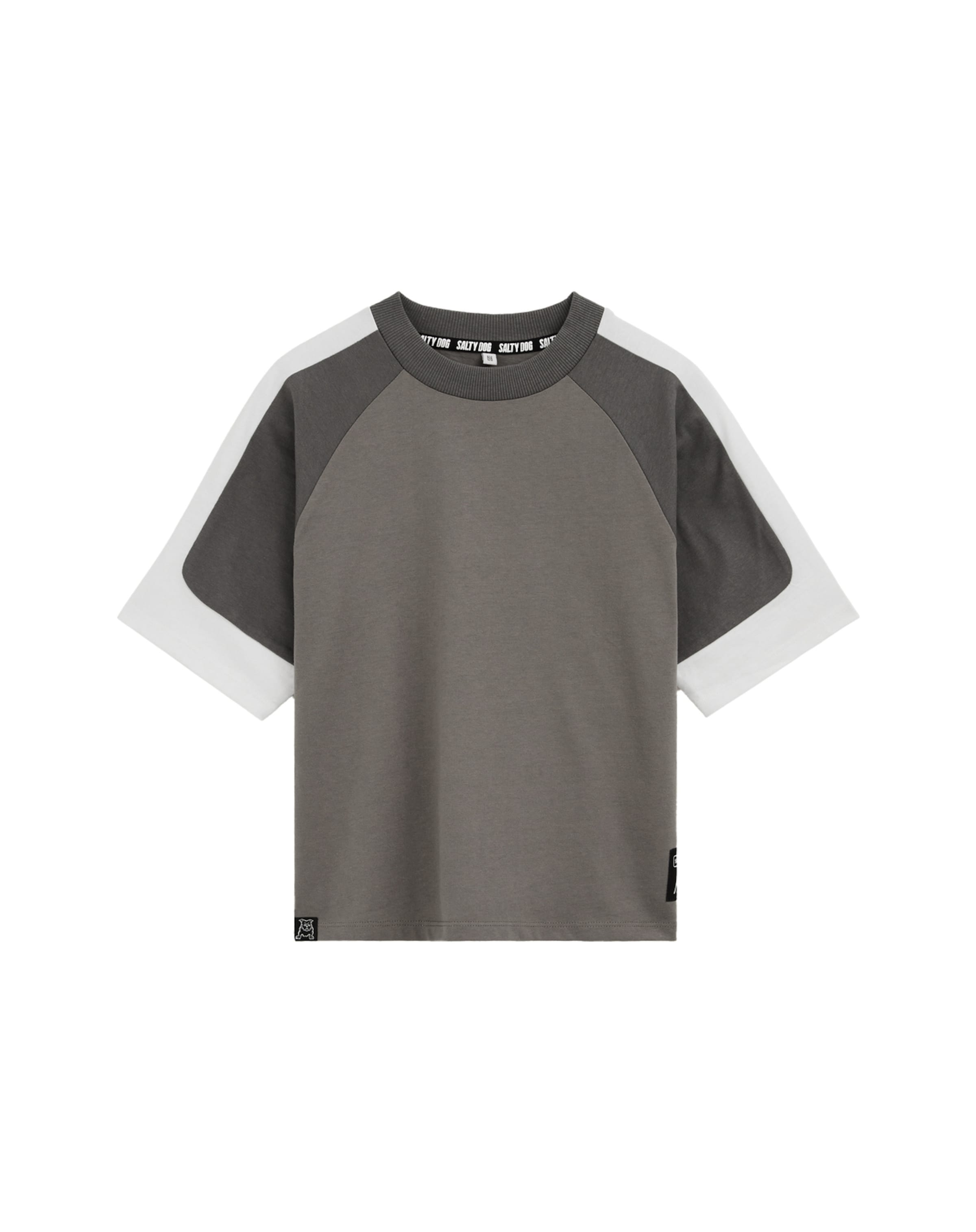 WE Fashion - Camisola em cinzento: frente