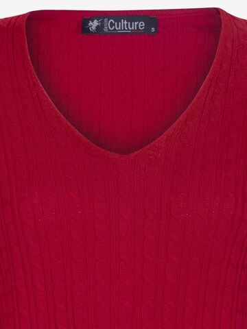 DENIM CULTURE - Jersey 'Verla' en rojo
