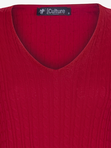 raudona DENIM CULTURE Megztinis 'Verla'
