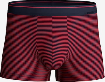 CALIDA Boxer shorts 'Cotton Stretch' in Purple: front