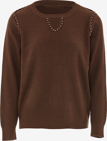 LEOMIA Sweater in Brown: front