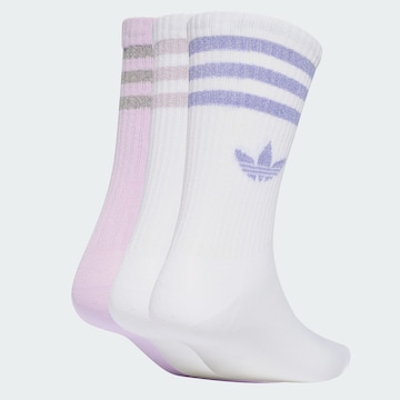 ADIDAS ORIGINALS Socks in Purple
