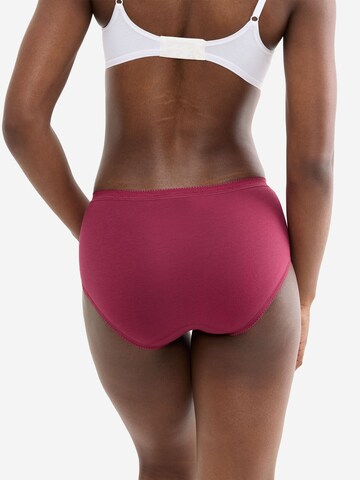 SLOGGI Panty ' Originals Basic ' in Brown