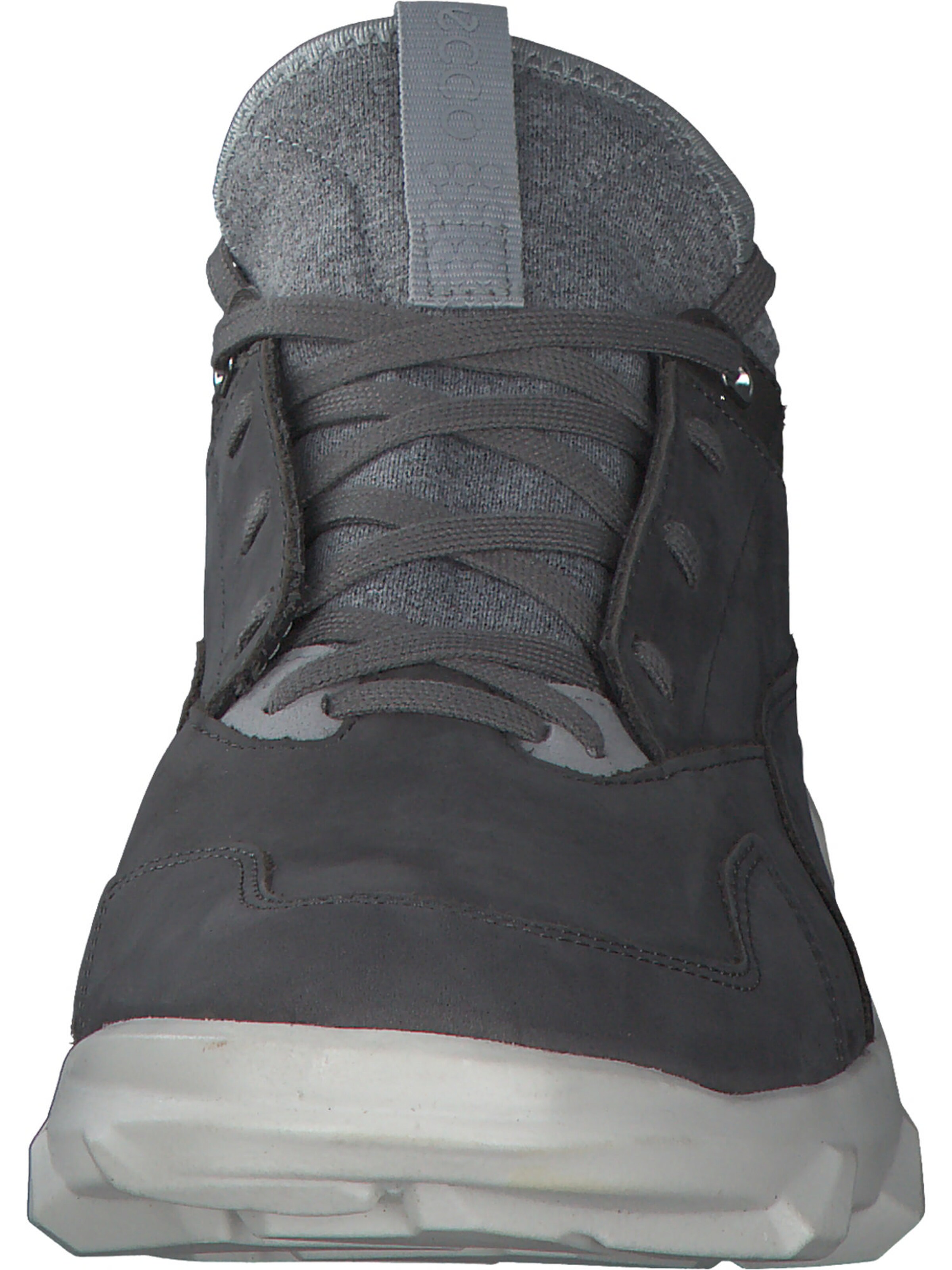 Baskets basses ECCO en gris