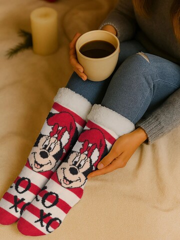 MICKEY MOUSE Socken 'Hüttensocken XOXO'‌‌‌‌‌‌ in Rot