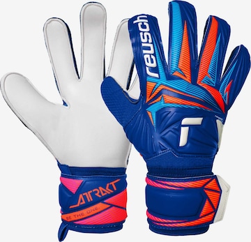 REUSCH Torwarthandschuhe 'Attrakt Solid' in Blau: Vorderseite