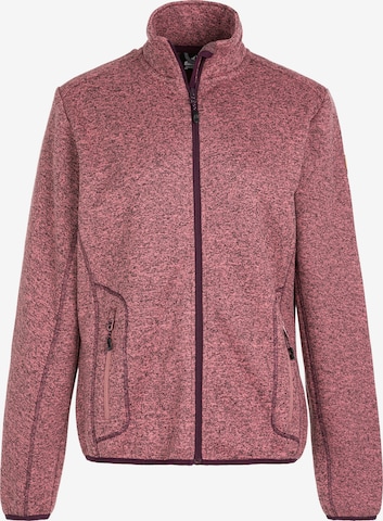 Whistler Funktionsfleecejacke in Pink: predná strana