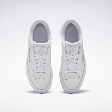 Reebok Sneaker low i hvid