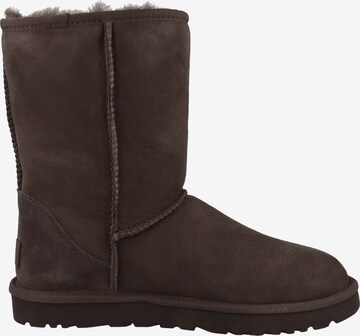 UGG Сноубутсы в Коричневый