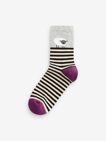 Next Socken in Mischfarben
