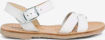 Sandales Pisamonas en blanc : devant