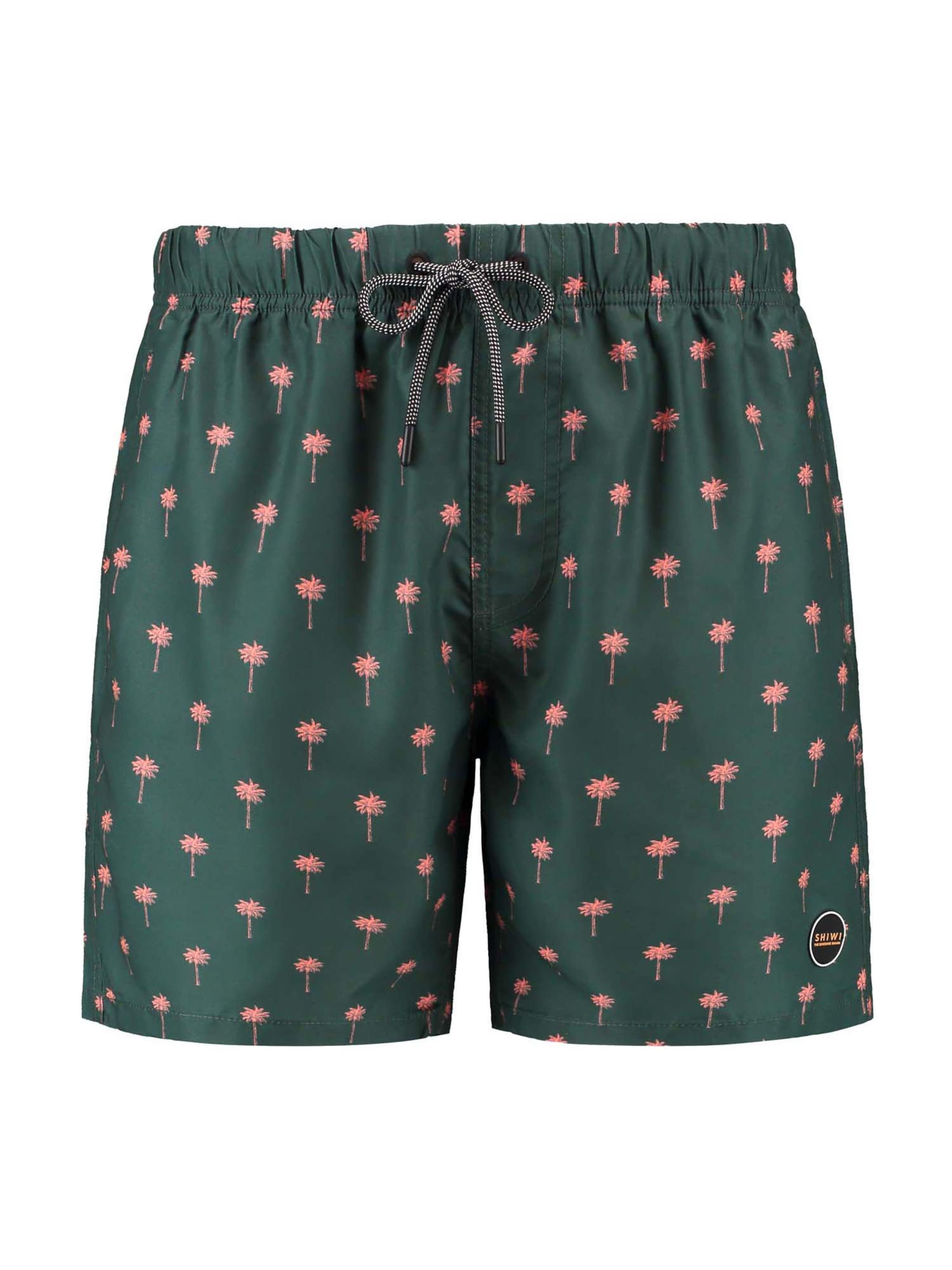 Shorts de bain Shiwi en vert : devant