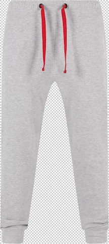 Effilé Pantalon Urban Classics en gris : devant