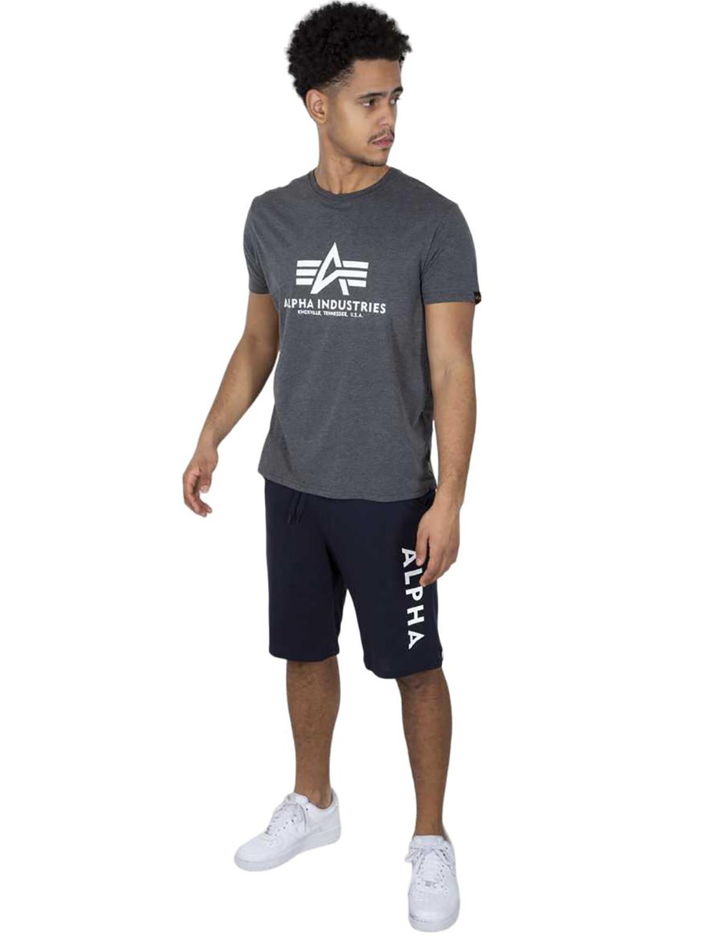 ALPHA INDUSTRIES Regular Pants in Blue: front