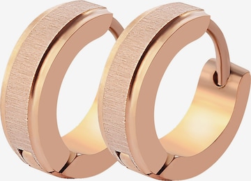 Akzent Earrings 'Alisha, langlebig' in Gold: front