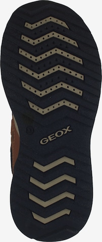 GEOX Sneaker in Braun