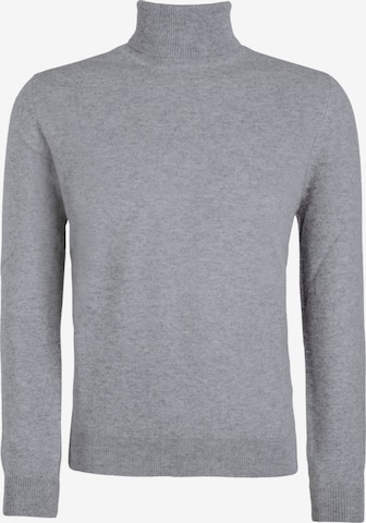 DELGER Pullover in Grau: Vorderseite