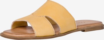 s.Oliver Mules in Yellow: front